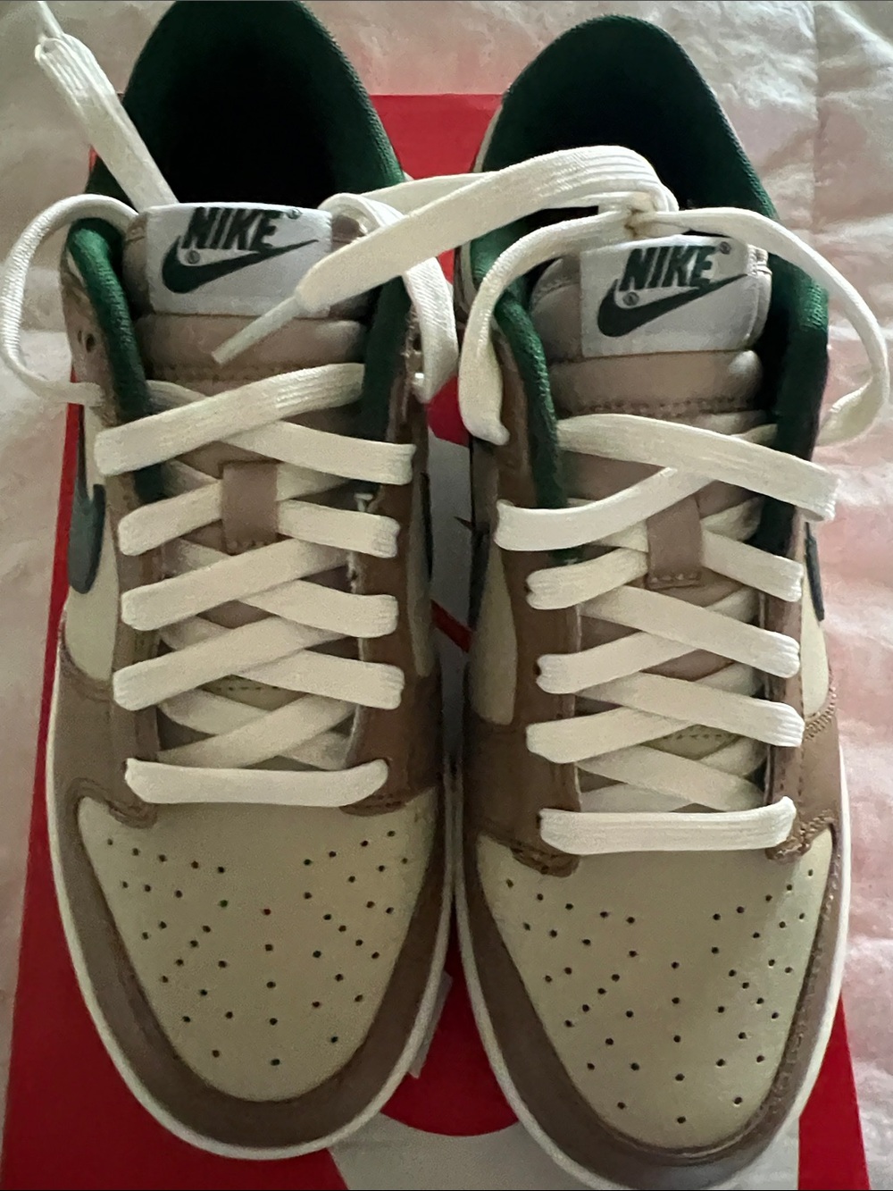 Nike Low-Top Sneakers in Beige, Brown and Green